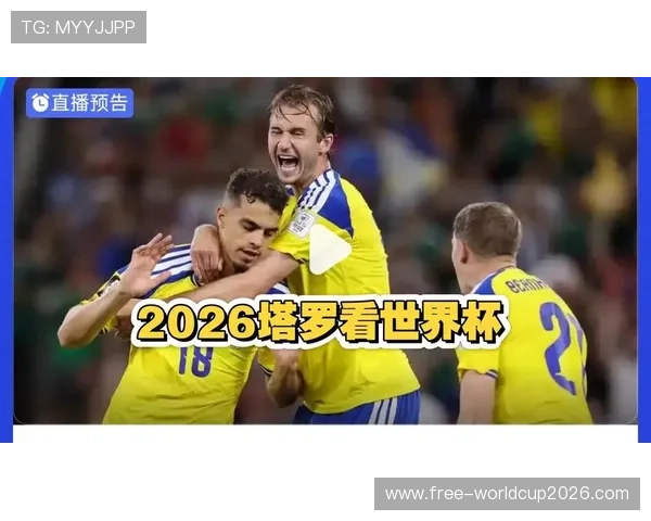 2026年世界杯日本VS瑞典比赛红牌统计数据及裁判判罚分析报告